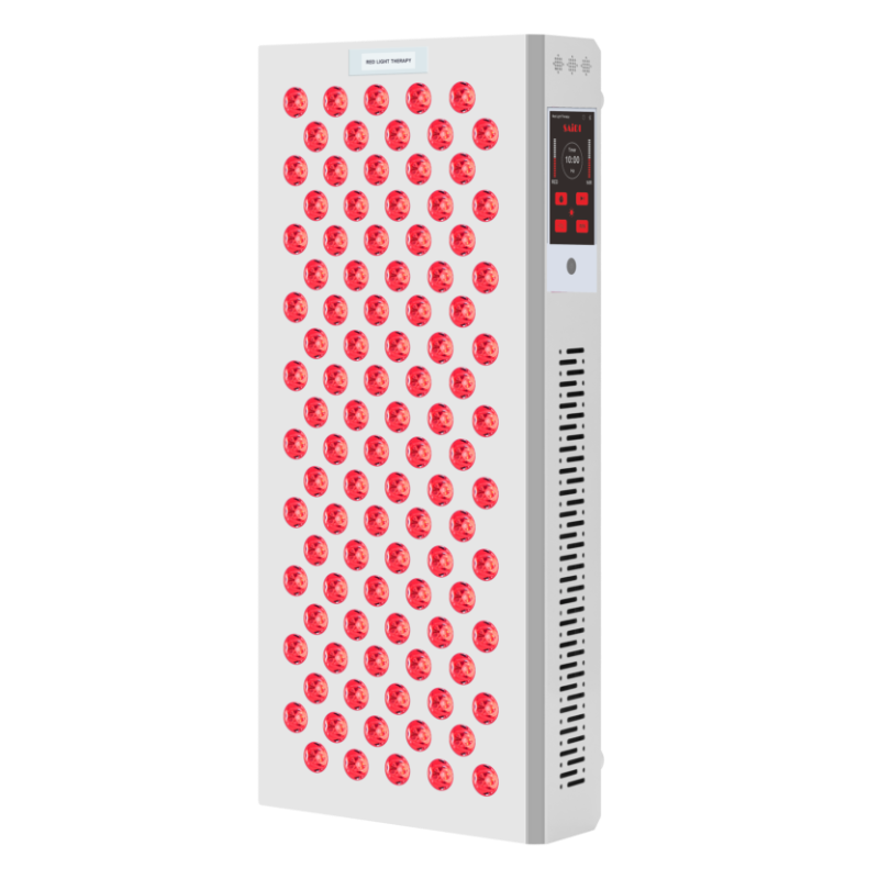 DL100